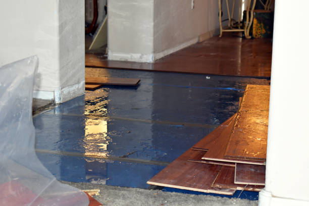 Professional Water Damage Restoration technician working in Davis, CA